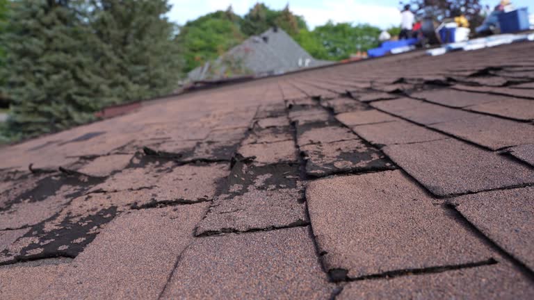Best Roofing for New Construction  in Princeton, TX